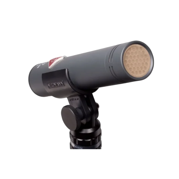 Neumann sterio microfoon